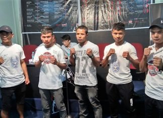 Mixed martial arts X1.In Championship to begin Saturday