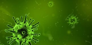 Sport takes a massive hit in Meghalaya due to coronavirus
